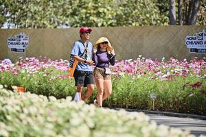 BIB: 
                            <button type="button" onclick="openModal(27803933)" class="btn btn-primary btn-sm float-right btn-popup" data-toggle="modal" data-target=".modal-high-quality">
                        <i class="fas fa-shopping-cart"></i> Add to Cart
                    </button>
                                            <button type="button" onclick="isThisMe(27803933, true)" class="btn btn-success btn-sm float-right btn-popup btn-isme hidden" data-toggle="tooltip" data-placement="bottom" title="นี่คือรูปของคุณใช่ไหม คลิกที่นี่เพื่อเอาเข้าอัลบั้ม">
                        <i class="fas fa-plus"></i> Add to album
                    </button>
                    <button type="button" onclick="isThisMe(27803933, false)" class="btn btn-warning btn-sm float-right btn-popup btn-isnotme hidden">
                        <i class="fas fa-ban"></i> Remove from album
                    </button>